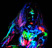 blacklight